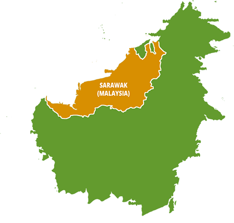 kaouas