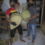 Packing powder