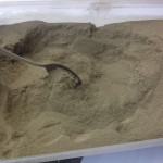 Quality control powder