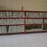 storage kratom