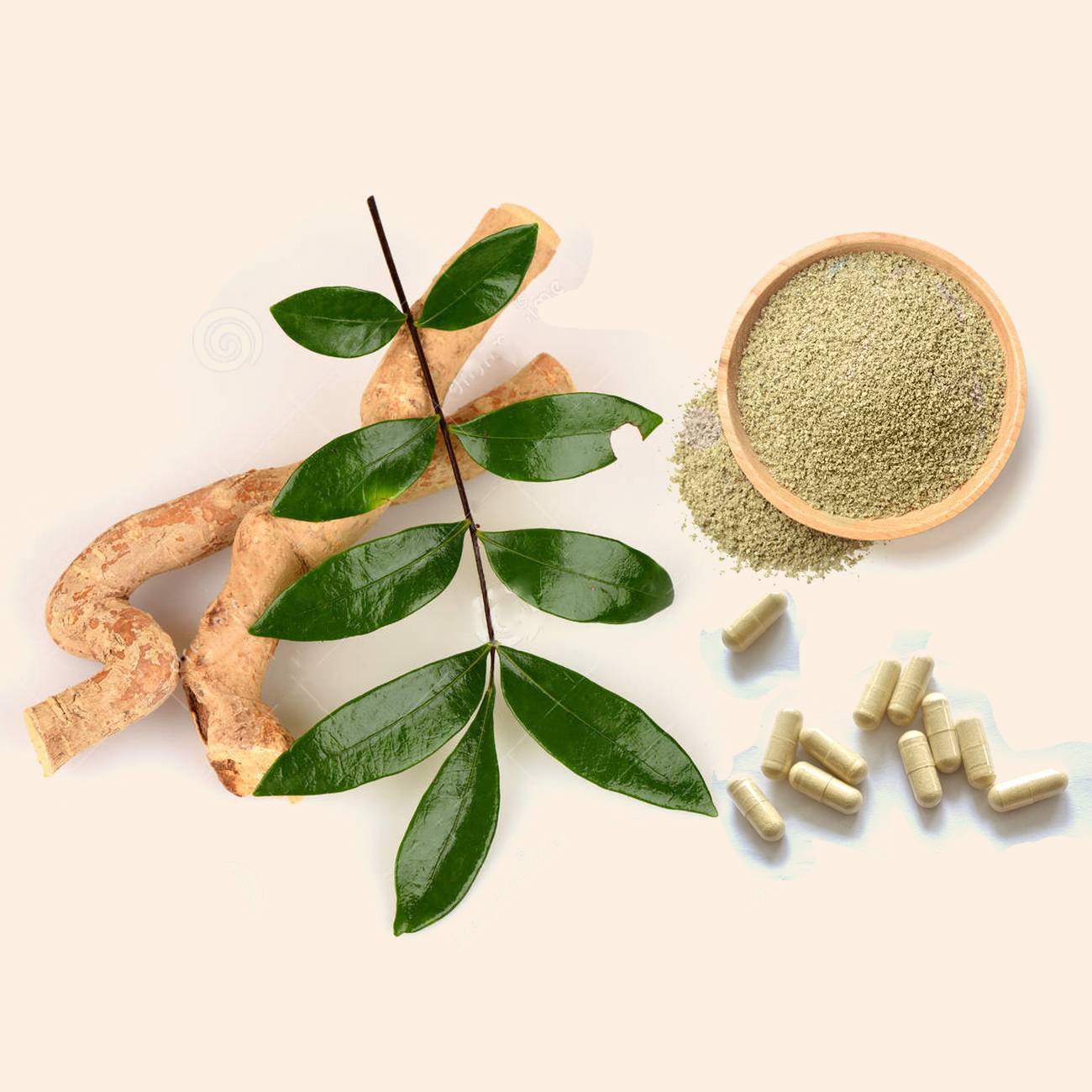 tongkat ali extract kopen