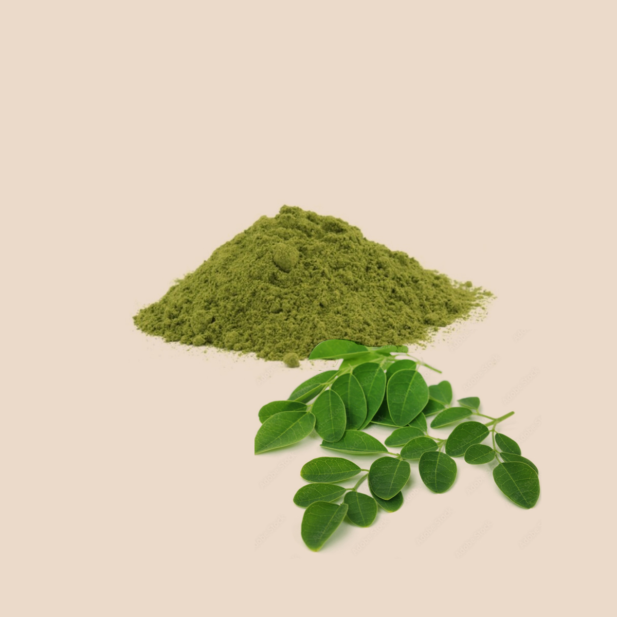 buy moringa