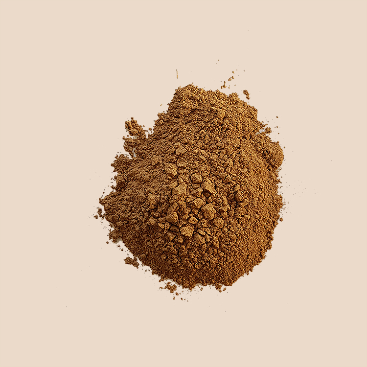buy purwoceng root powder